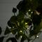 24" UV Resistant Artificial LED Lit Philodendron in White Hanging Basket